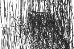 Interno-acquaforte-2017-incisioni-sezione-3-1